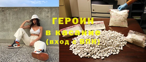 индика Новозыбков