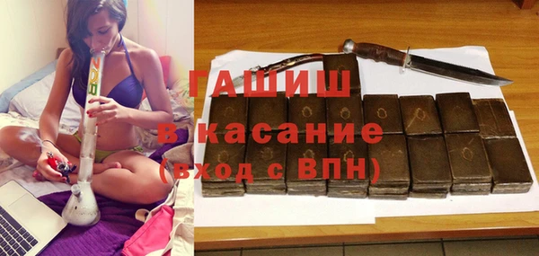 индика Новозыбков