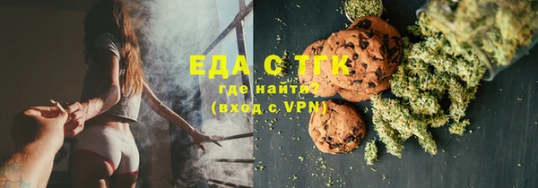 индика Новозыбков