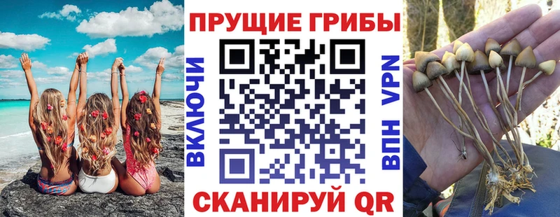 купить наркоту  Ак-Довурак  Галлюциногенные грибы мухоморы 